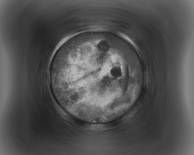 X0000083601467200703021859