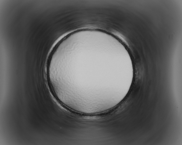 X0000083601468200703021859