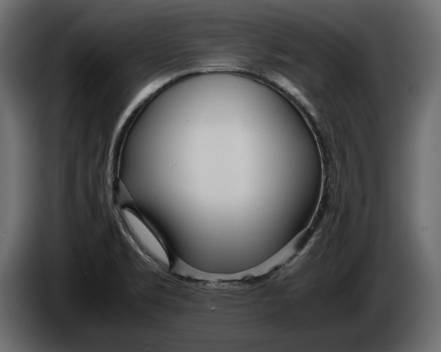 X0000083601469200703021859