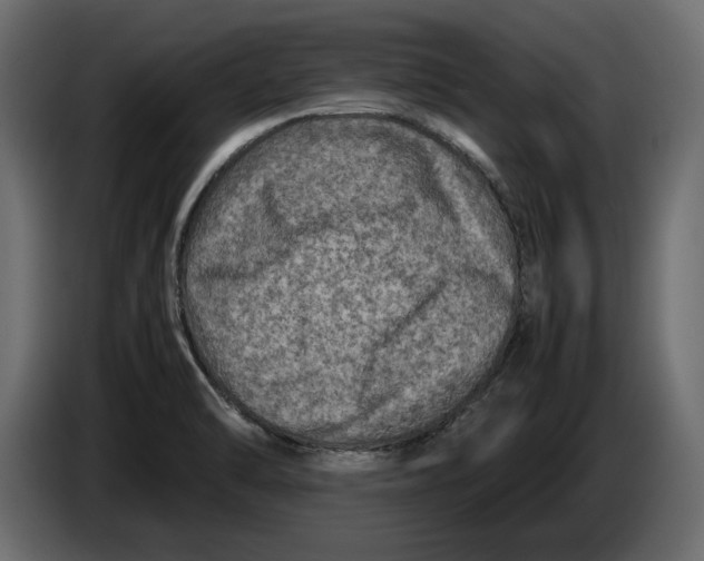 X0000083601470200703021859