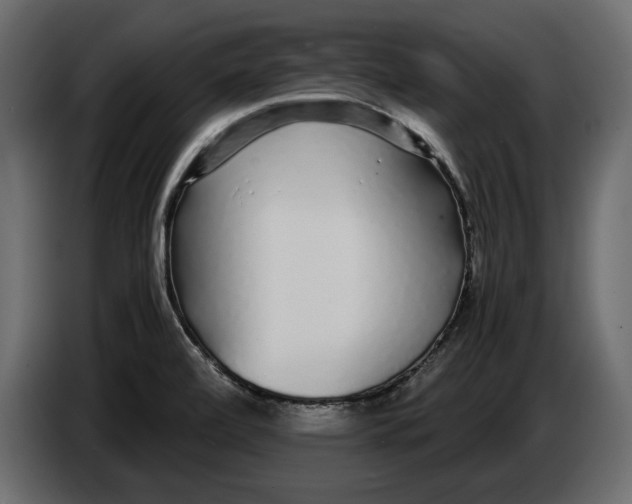 X0000083601472200703021859