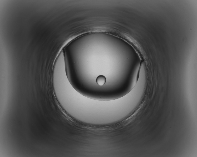 X0000083601473200703021859