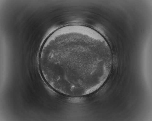 X0000083601474200703021859