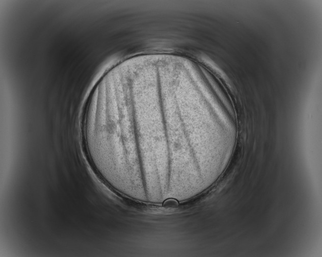 X0000083601475200703021859