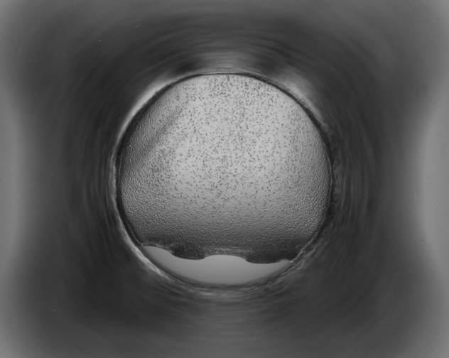 X0000083601476200703021859