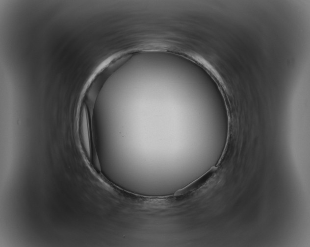 X0000083601477200703021859