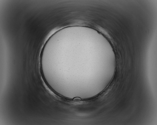 X0000083601479200703021859