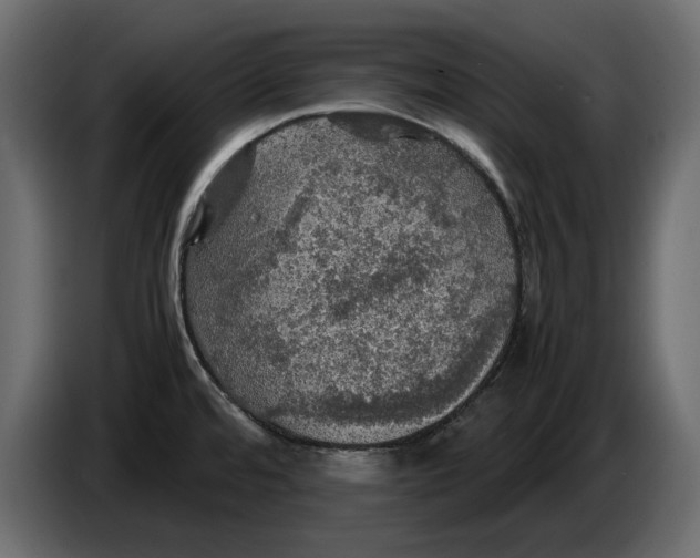 X0000083601480200703021859