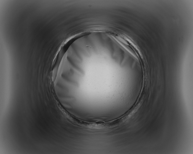 X0000083601481200703021859