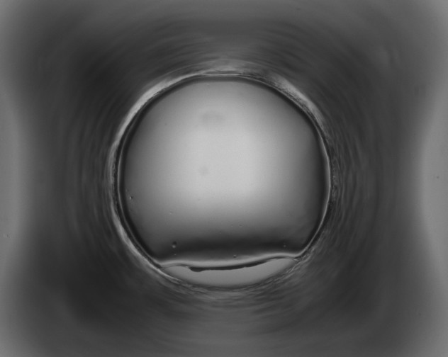 X0000083601483200703021859