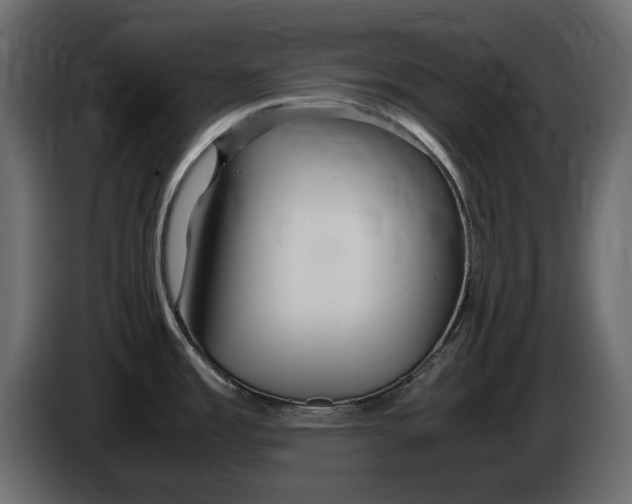 X0000083601485200703021859