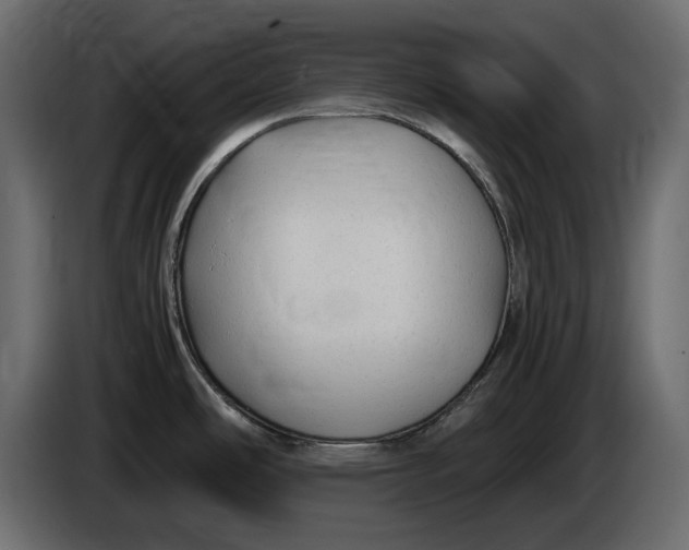 X0000083601486200703021859