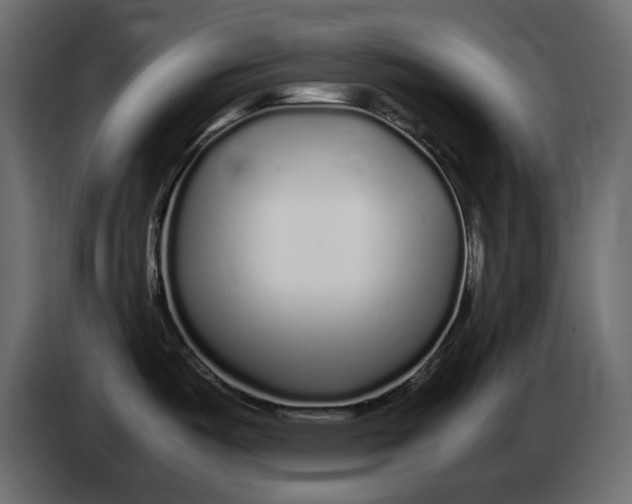 X0000083601487200703021859