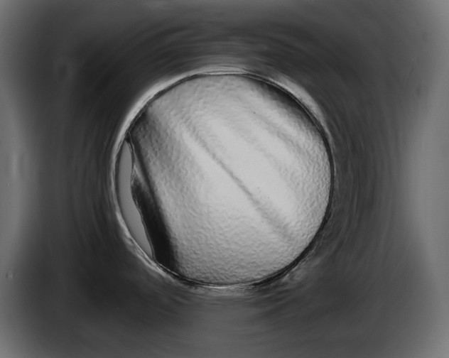 X0000083601488200703021859