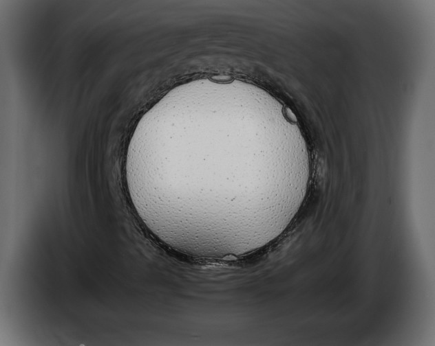 X0000083601489200703021858