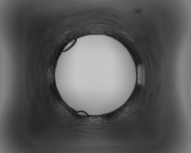 X0000083601491200703021858