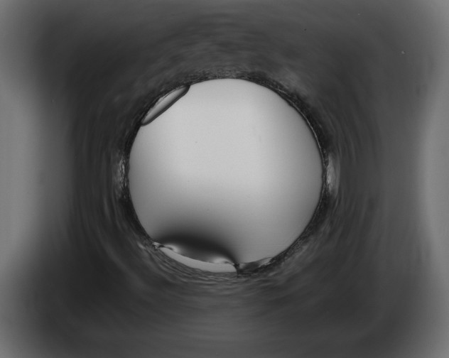 X0000083601492200703021858