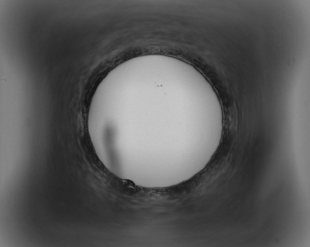 X0000083601493200703021858