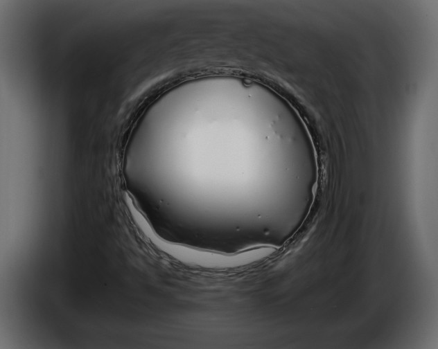 X0000083601494200703021858