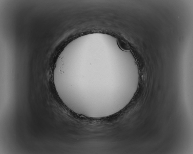 X0000083601495200703021858