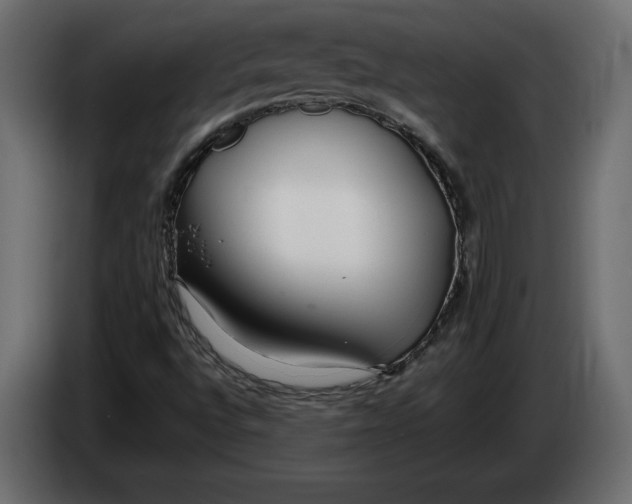 X0000083601496200703021858