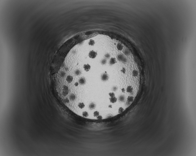 X0000083601497200703021858