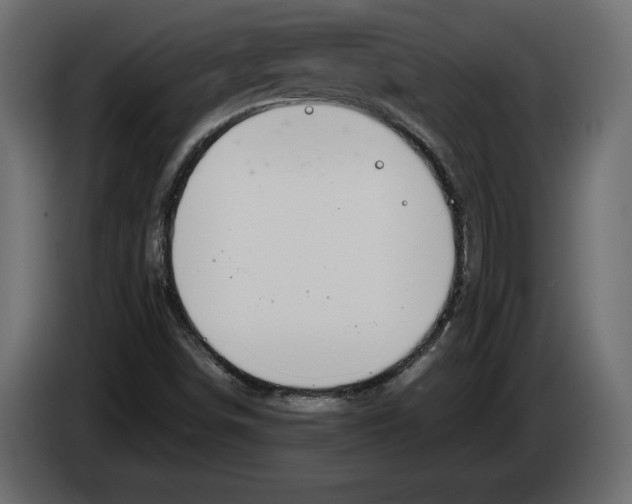 X0000083601498200703021858