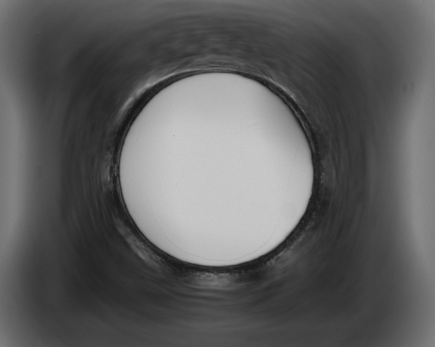 X0000083601499200703021858