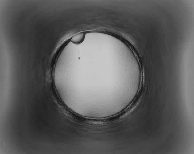 X0000083601501200703021858