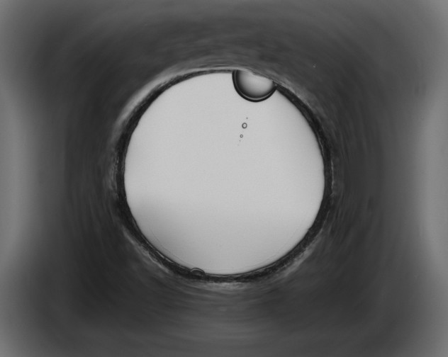 X0000083601502200703021858