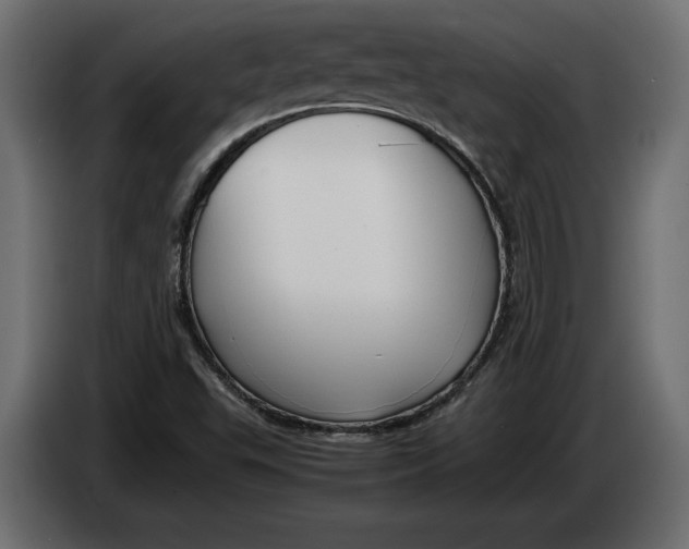 X0000083601503200703021858