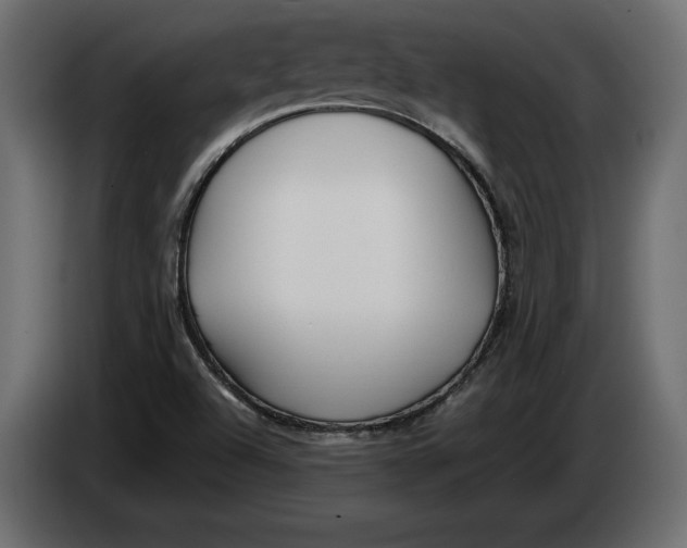 X0000083601504200703021858