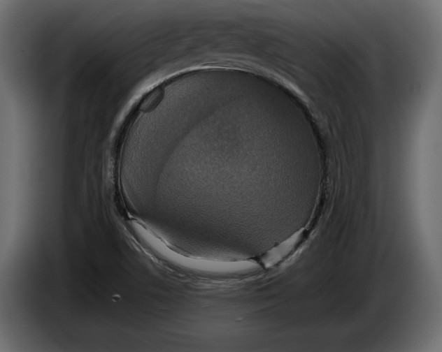 X0000083601506200703021858