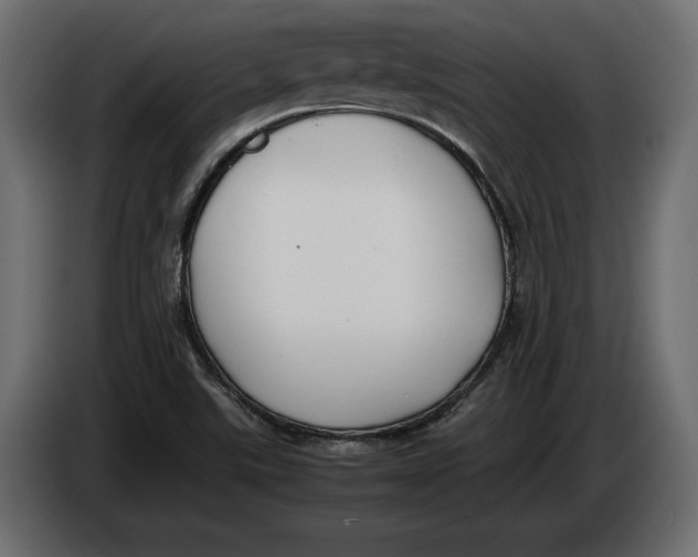 X0000083601507200703021858