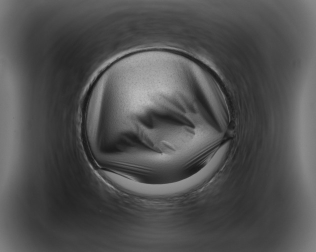 X0000083601508200703021858