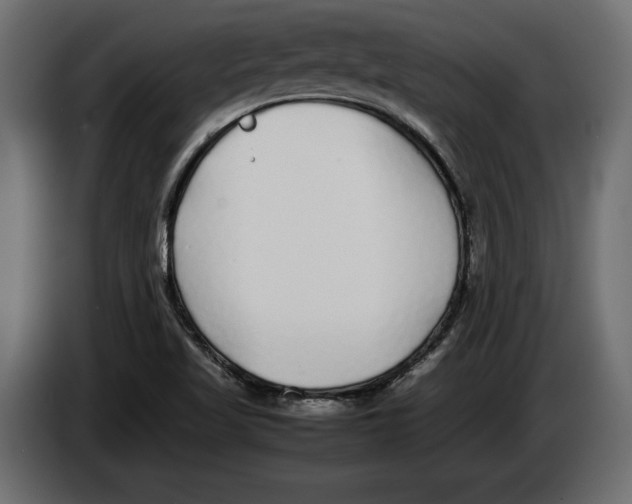 X0000083601509200703021858