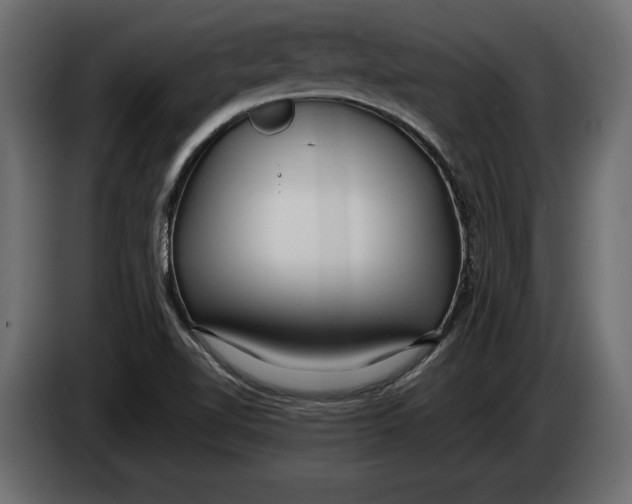 X0000083601510200703021858