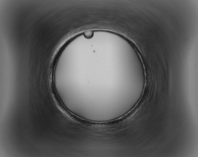 X0000083601511200703021858