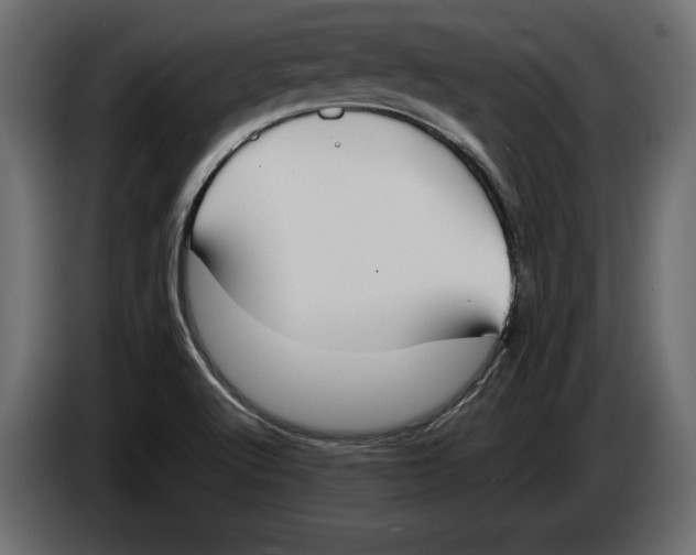 X0000083601512200703021858