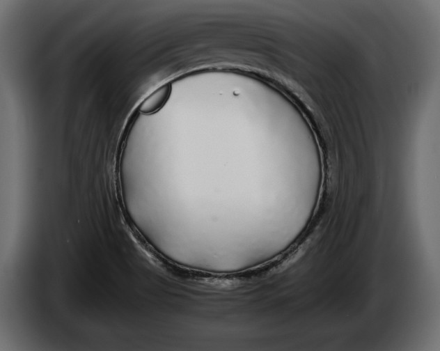 X0000083601513200703021859