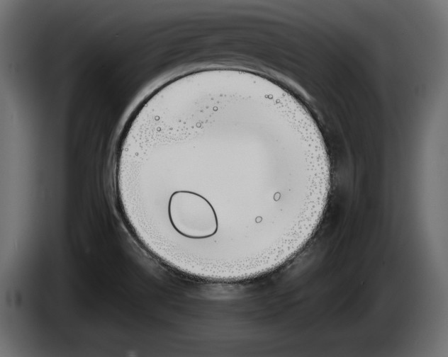 X0000083601514200703021859