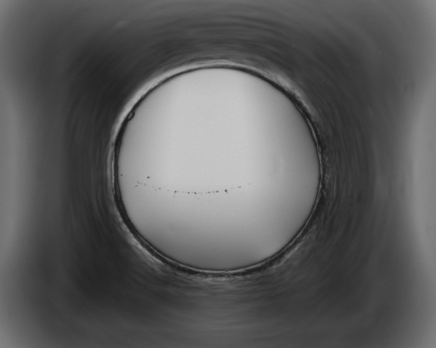 X0000083601516200703021859