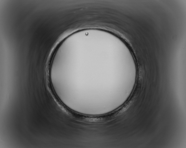 X0000083601517200703021859