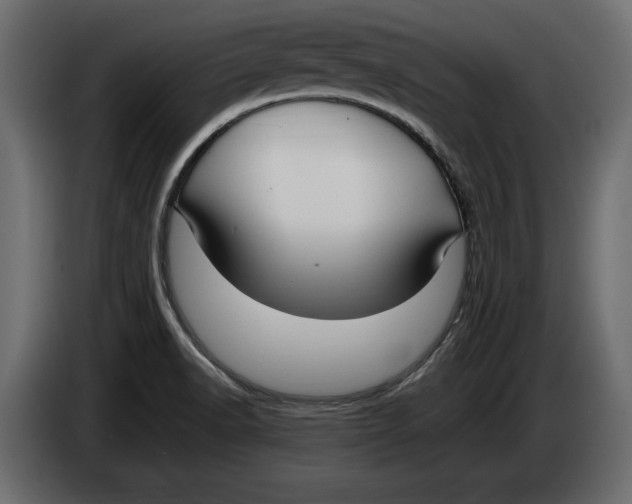 X0000083601518200703021859