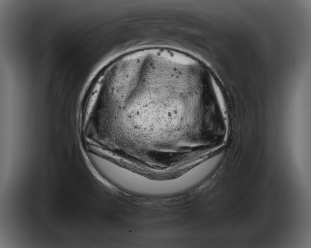 X0000083601519200703021859