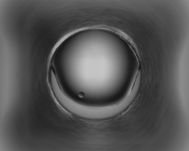 X0000083601520200703021859