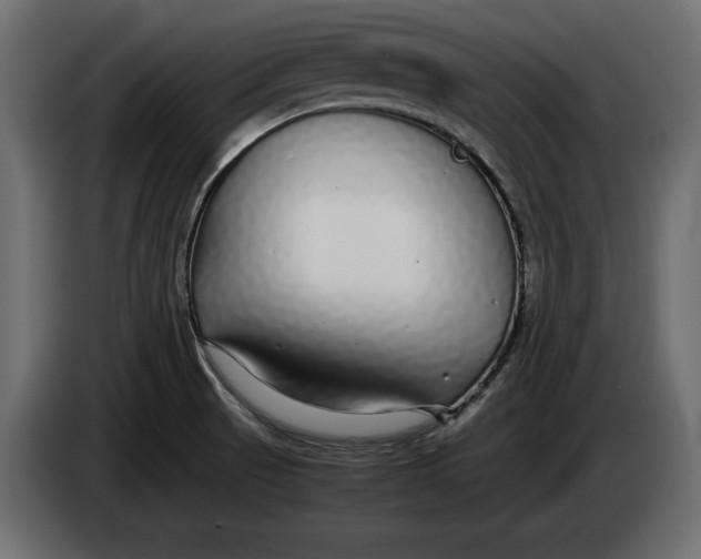 X0000083601521200703021859