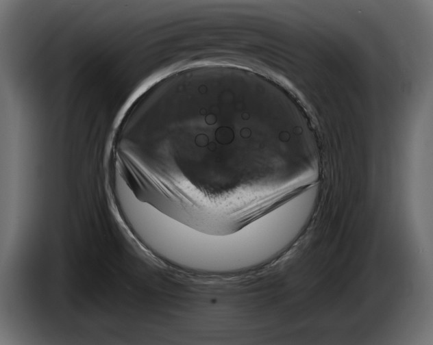 X0000083601522200703021859