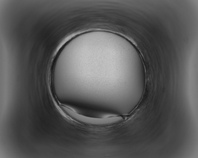 X0000083601523200703021859