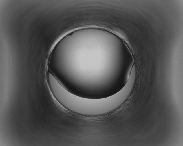 X0000083601524200703021859